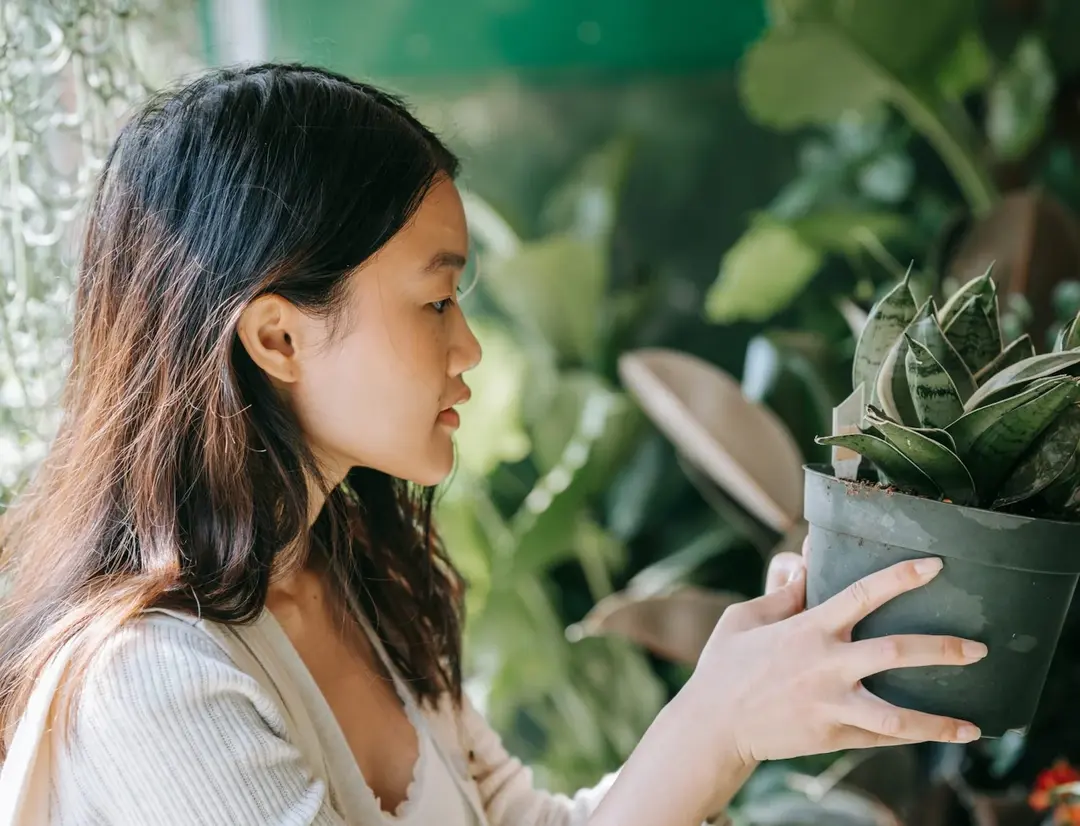 Woman holding a flower pot